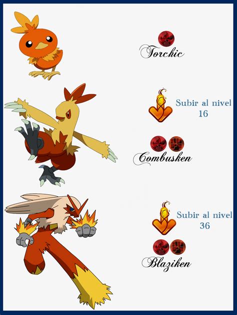 torchic evolve